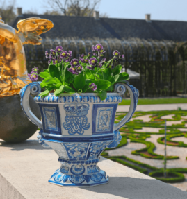 Blauw-Bont-1 Blauw-Bont-1